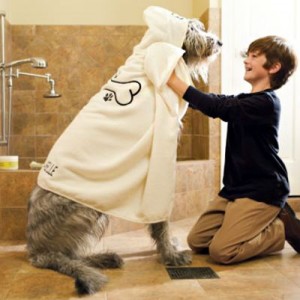 Luxury Robes for Puppy Friendly Hotels
