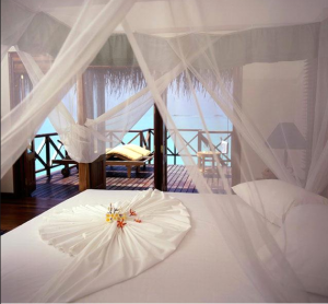 Hospitality Trends in 2013